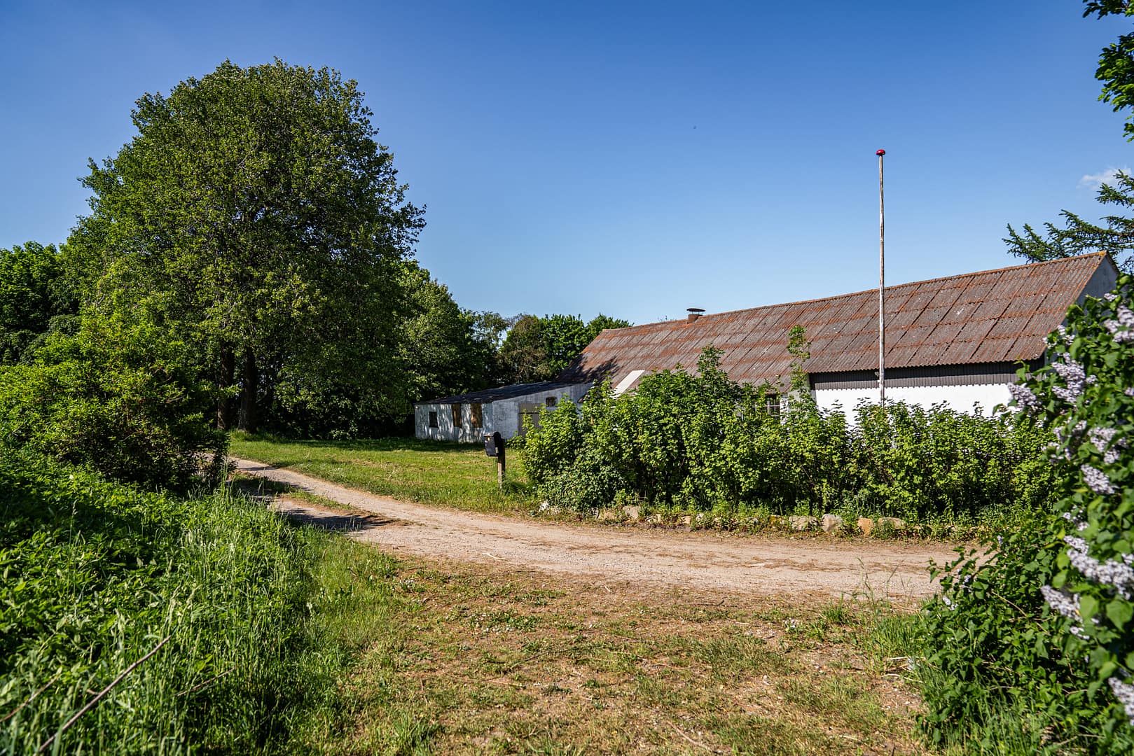 Schaeferivej2024-02